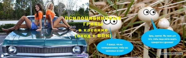 дмт Богданович